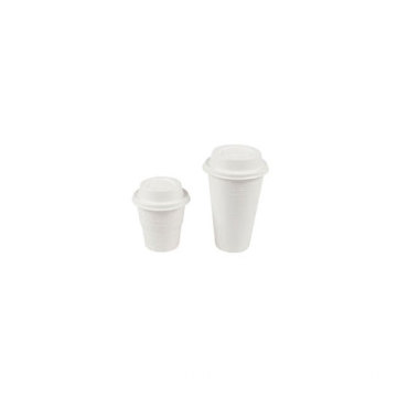 Eco Friendly Disposable Bagasse Cup 2021